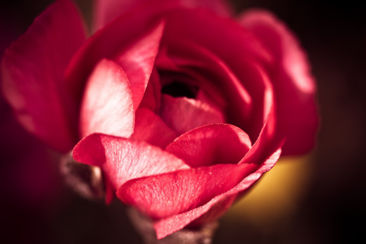 624820 (a): :2048x1365